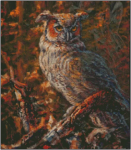 (image for) Great Horned Owl - JM